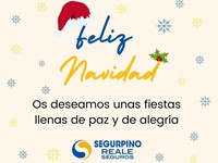 ¡Reale Segurpino les desea una Feliz Navidad!